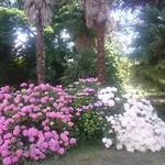 Hotel Fleuri