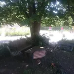 Hotel Fleuri 3*