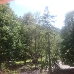 Hotel Fleuri 3*