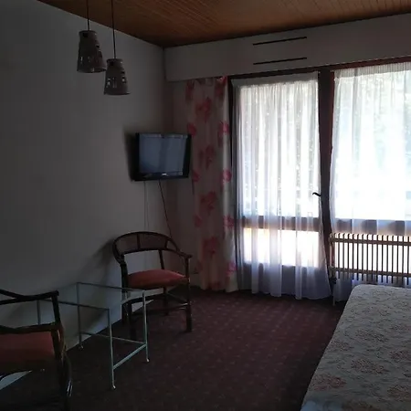 Отель Fleuri 3*