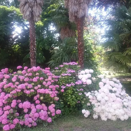 Ξενοδοχείο Fleuri