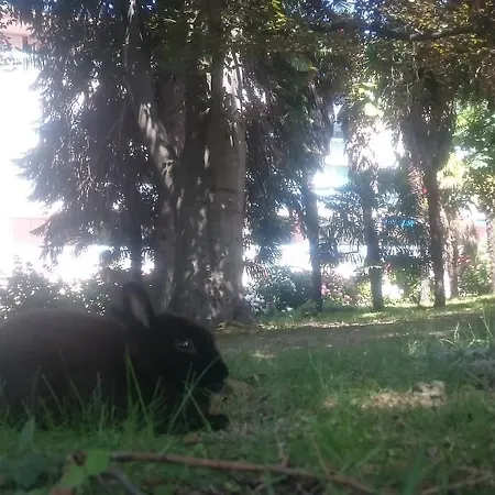 Ξενοδοχείο Fleuri 3*