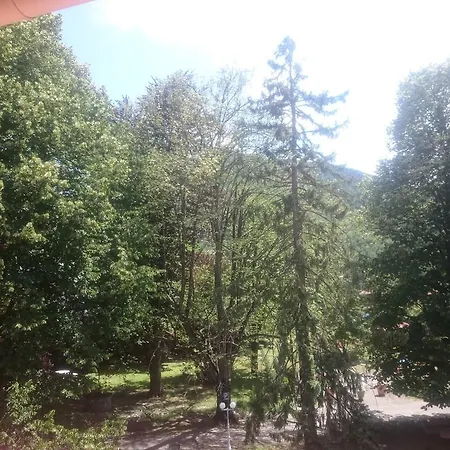Ξενοδοχείο Fleuri 3*